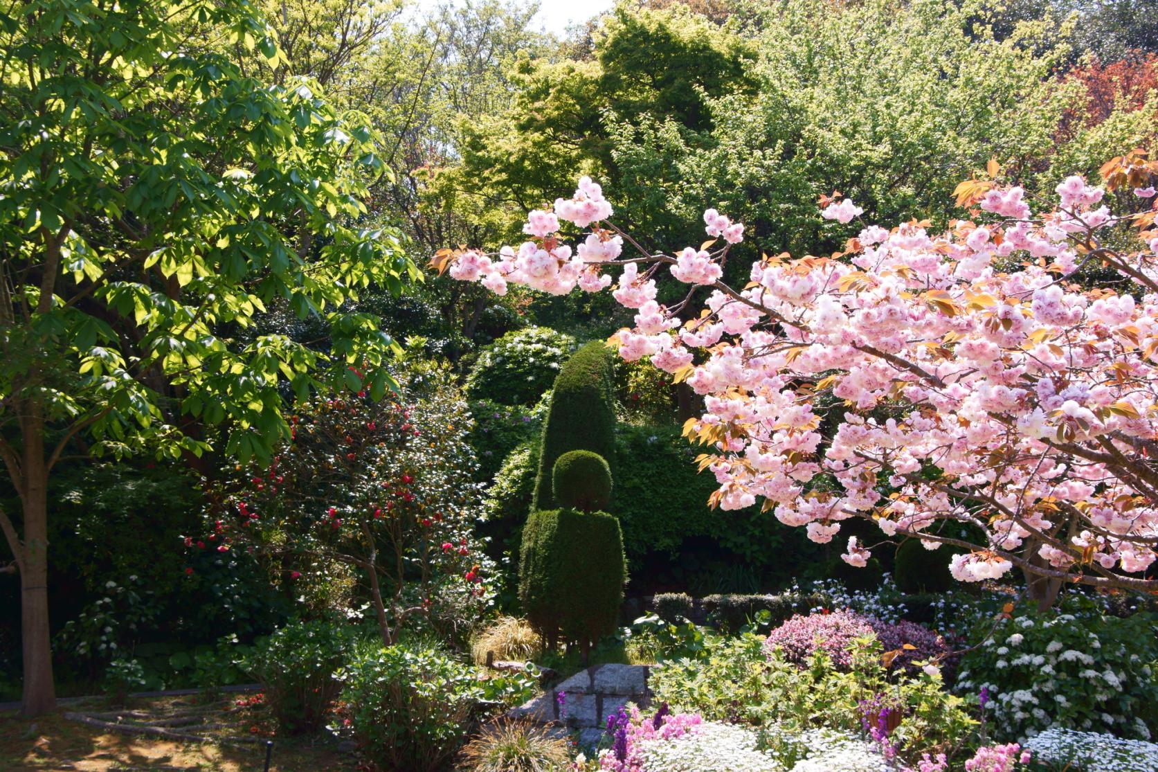 Shiranoe Botanical Garden (Kitakyushu City)