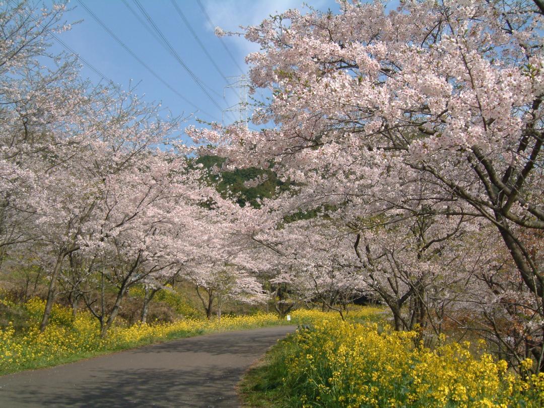 仲哀公园（京都郡京都町）