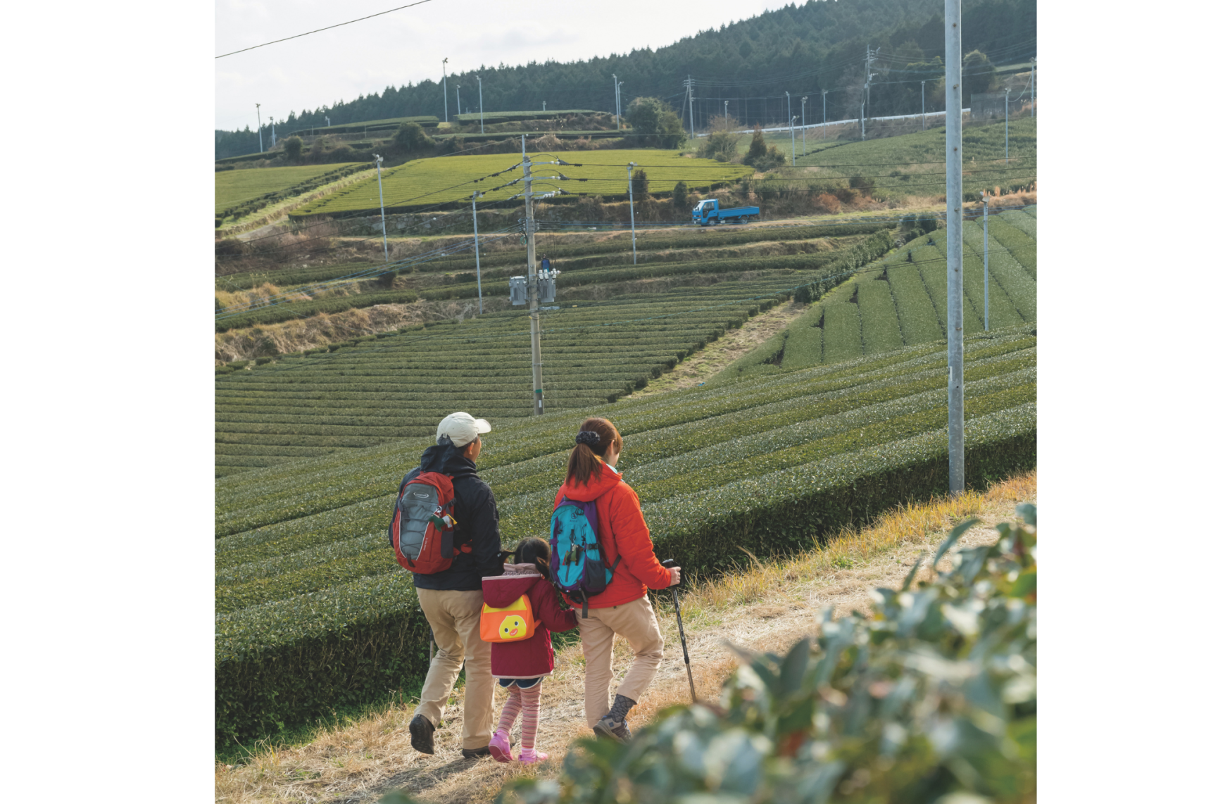 12/13（土）嬉野コース　スイーツオルレ（佐賀県）