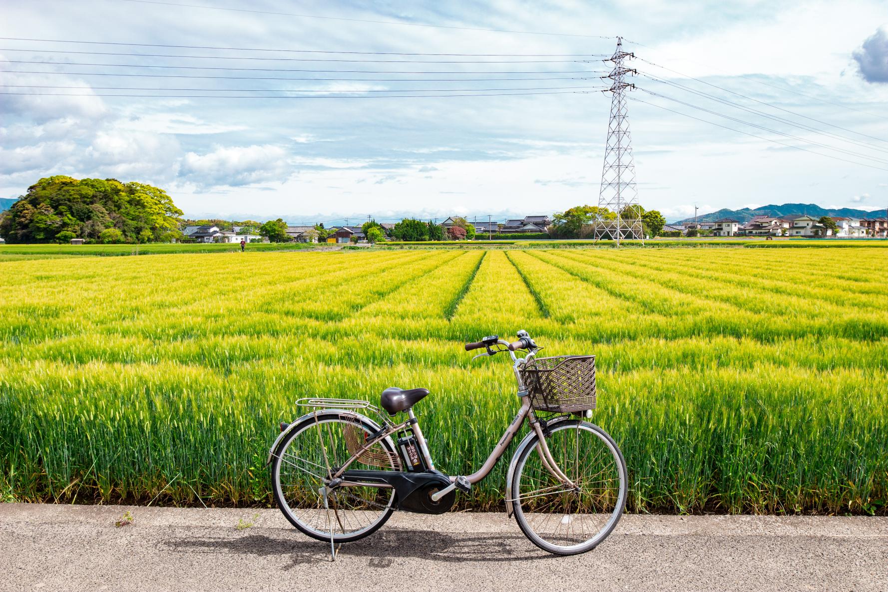 レンタサイクル（電動アシスト付き自転車）で市内巡り