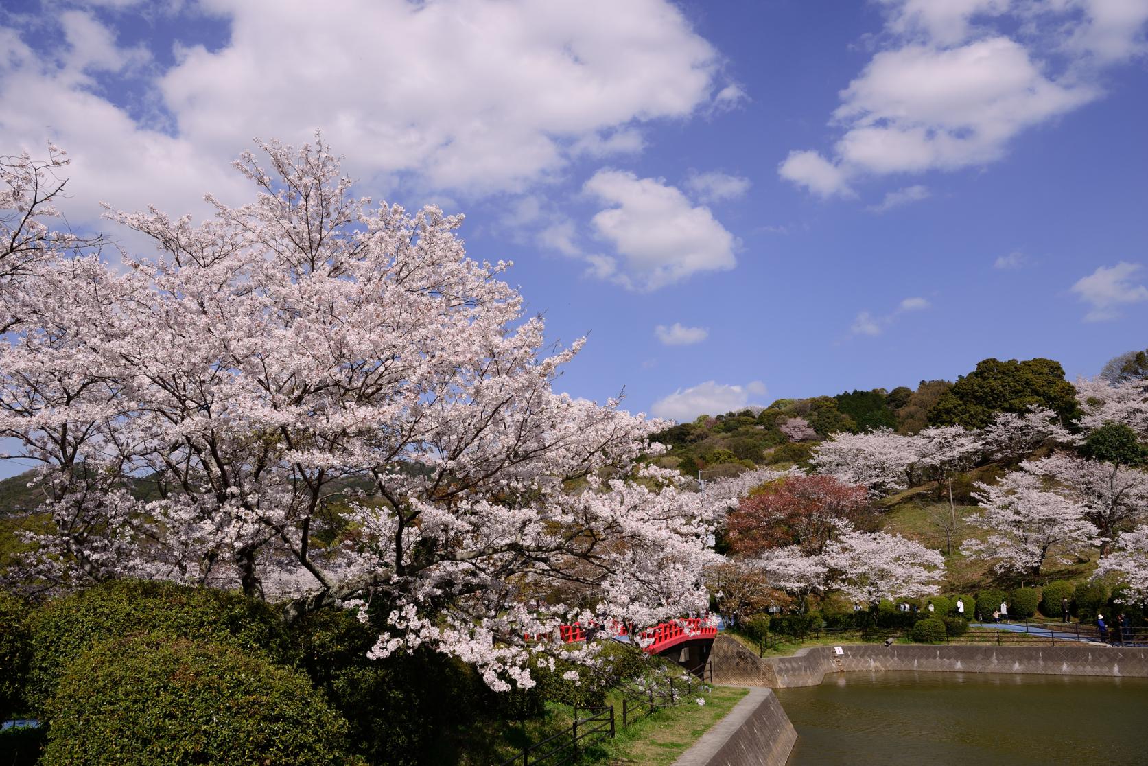 延命公園、甘木山（大牟田市）