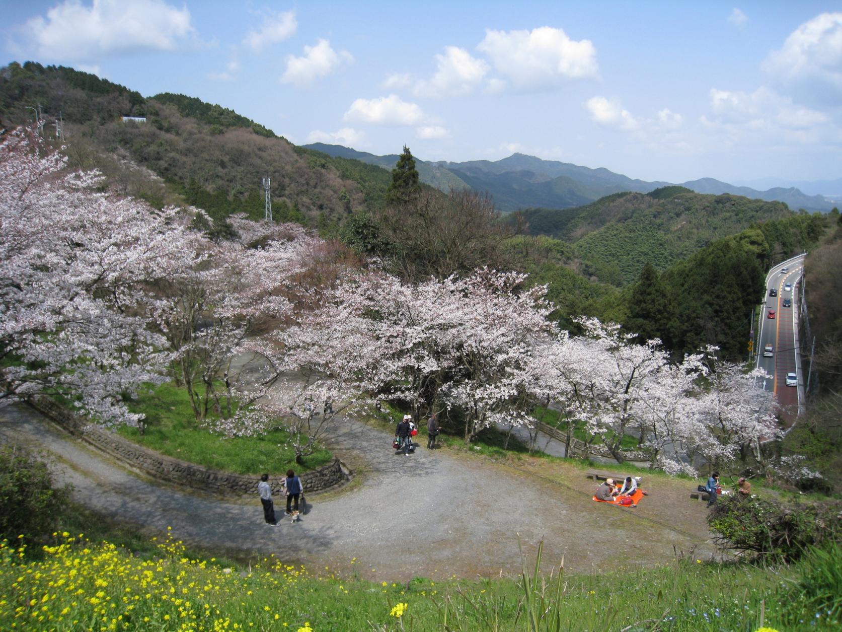 八木山展望公園（飯塚市）