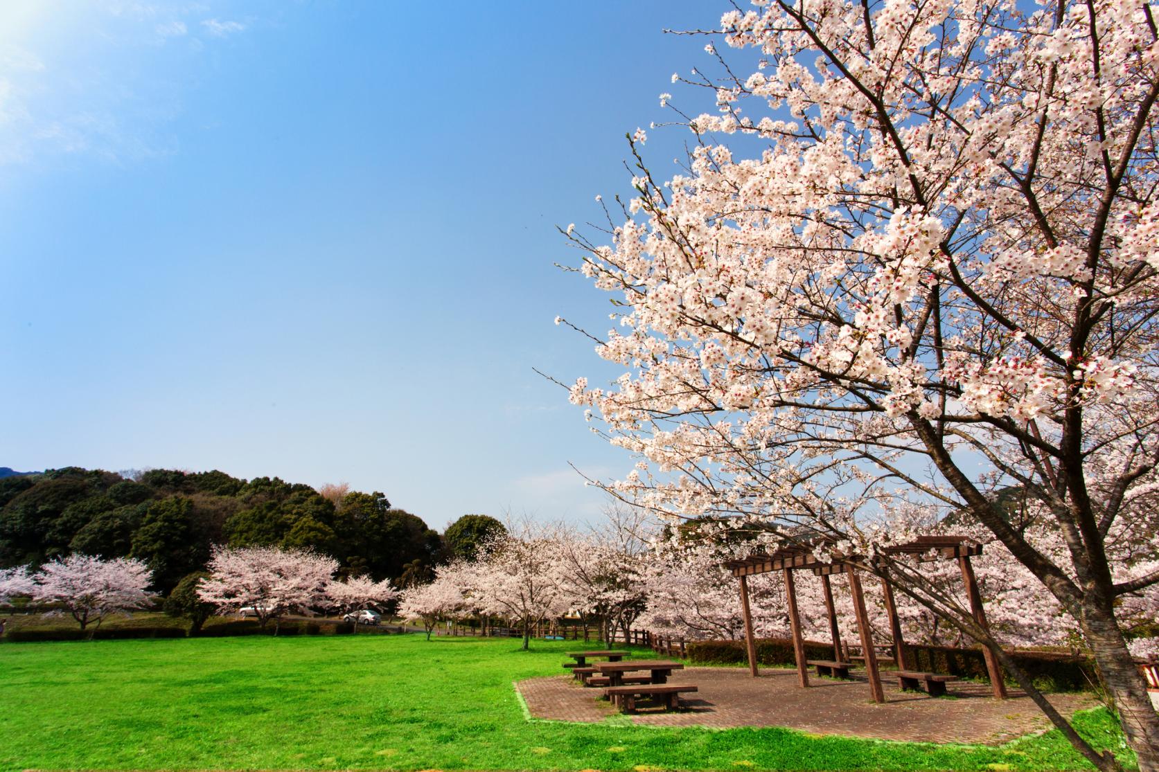 Katsumori Park (Iizuka City)