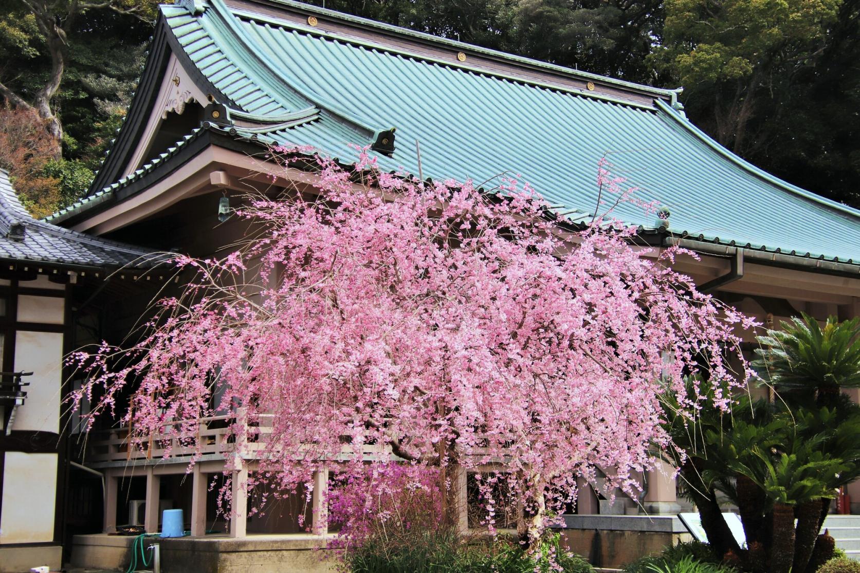 鎮国寺（宗像市）