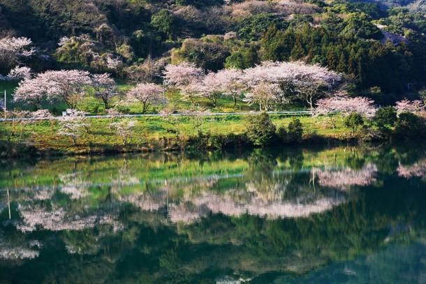 Tonokawa Dam Shiki no Hiroba (Kanda Town, Miyako District)