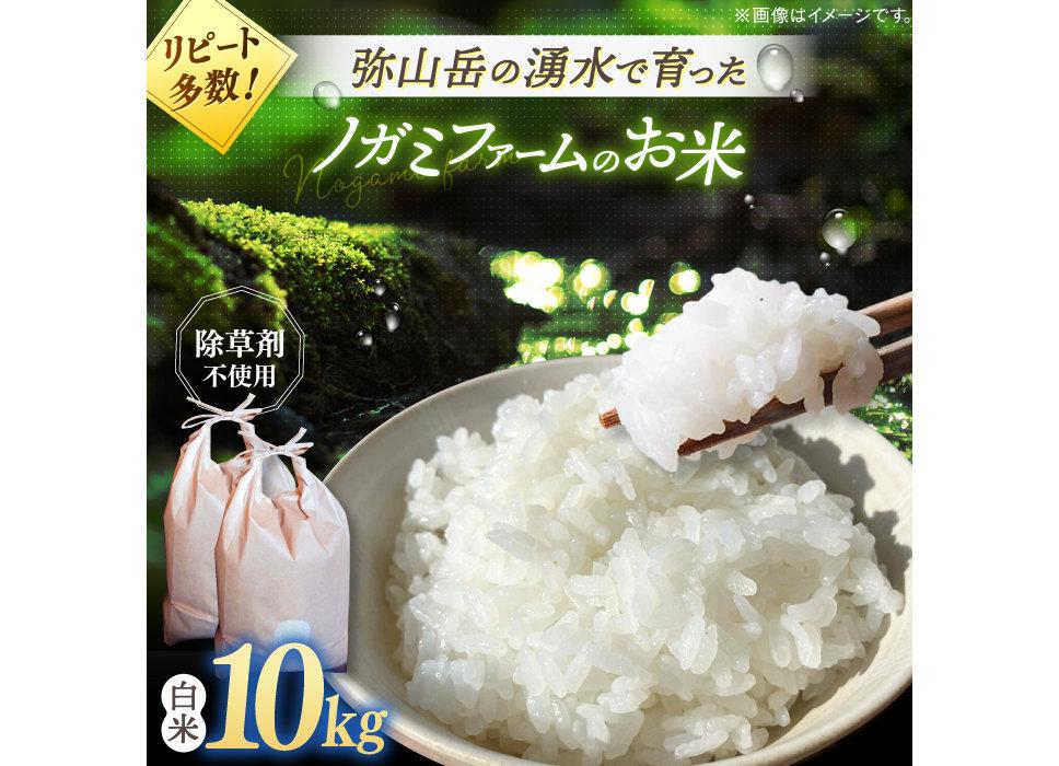 弥山岳の岩清水で育ったノガミファームのお米 10kg（5kg ×2袋）