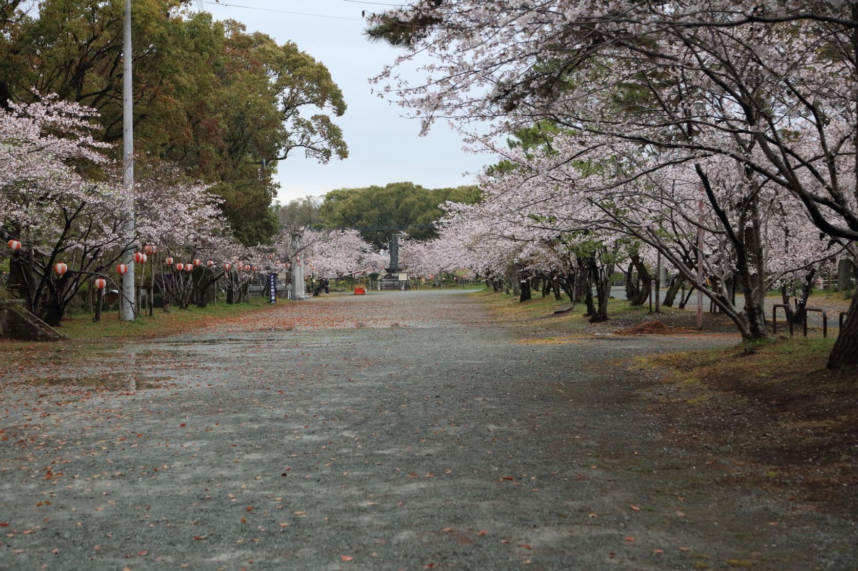 Takahata Park (Yanagawa City)
