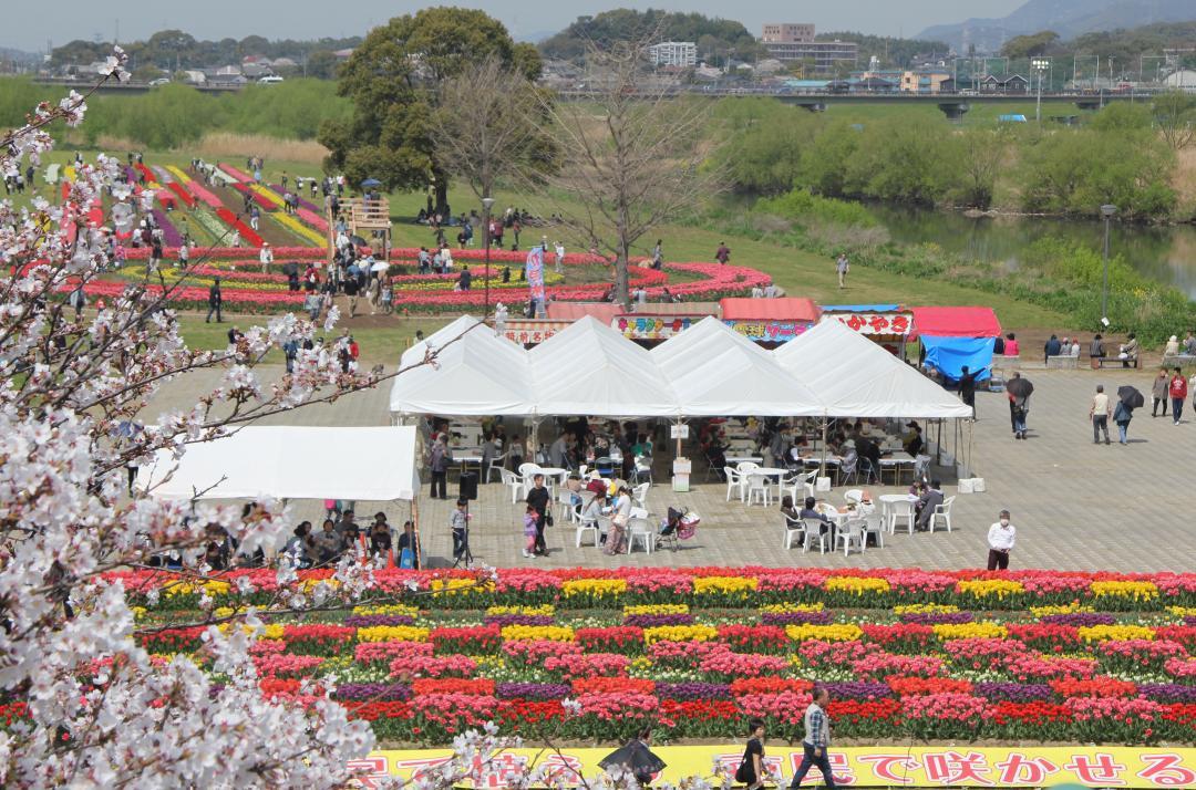 遠賀川河床 直方河濱公園（直方市）