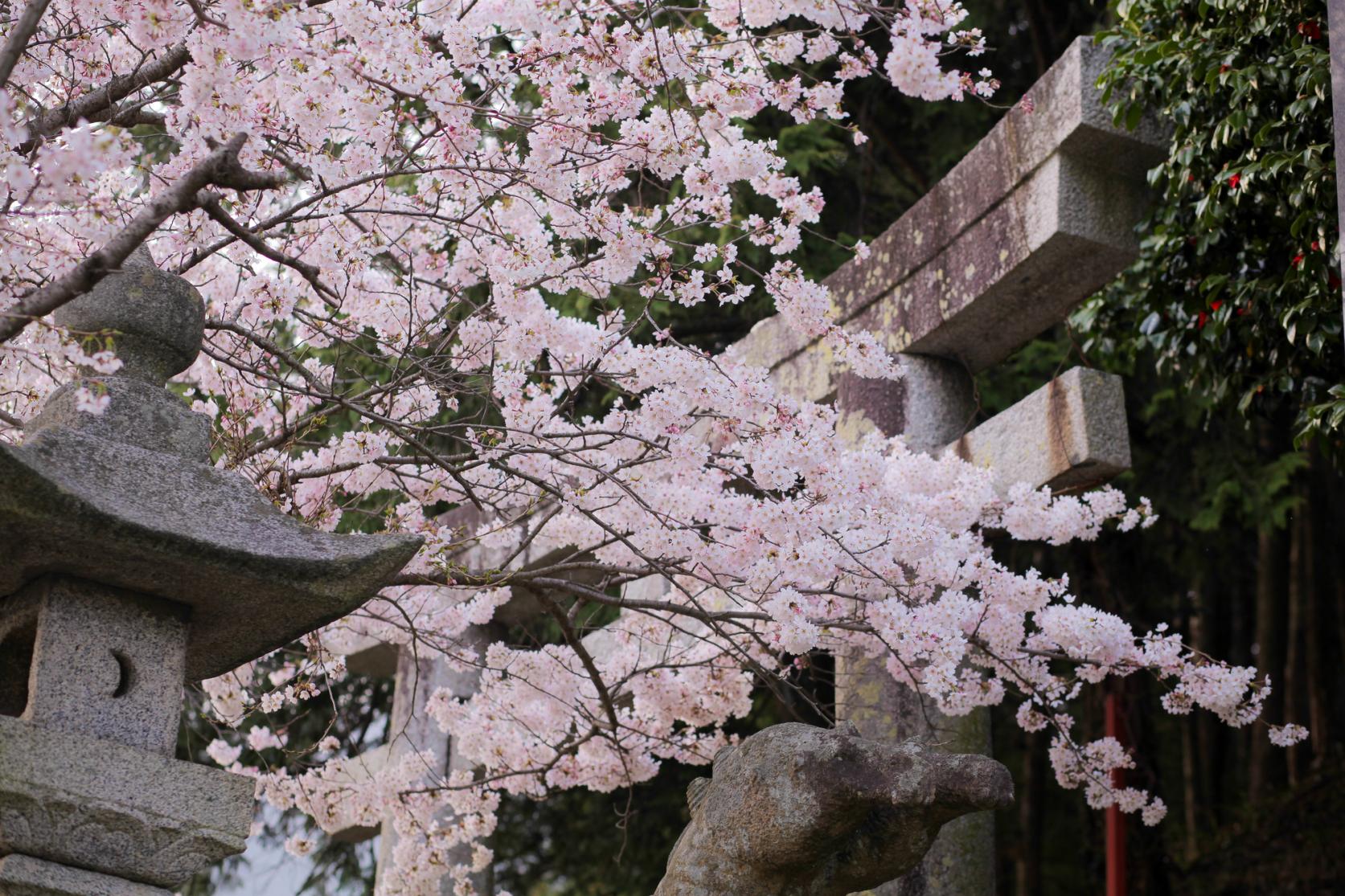 Kawara Shrine (Kawara Town, Tagawa District)