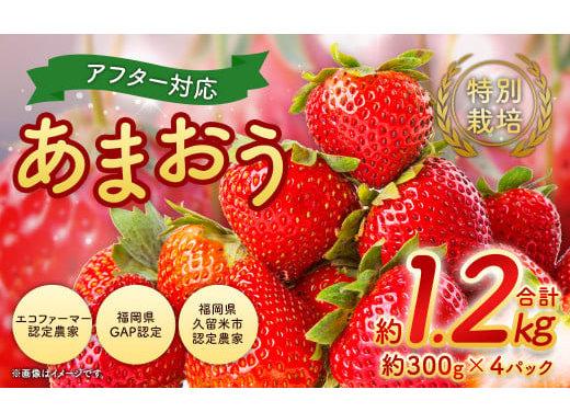 あまおう