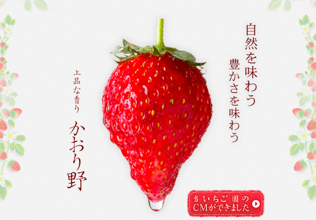 津留いちご園（筑後市）