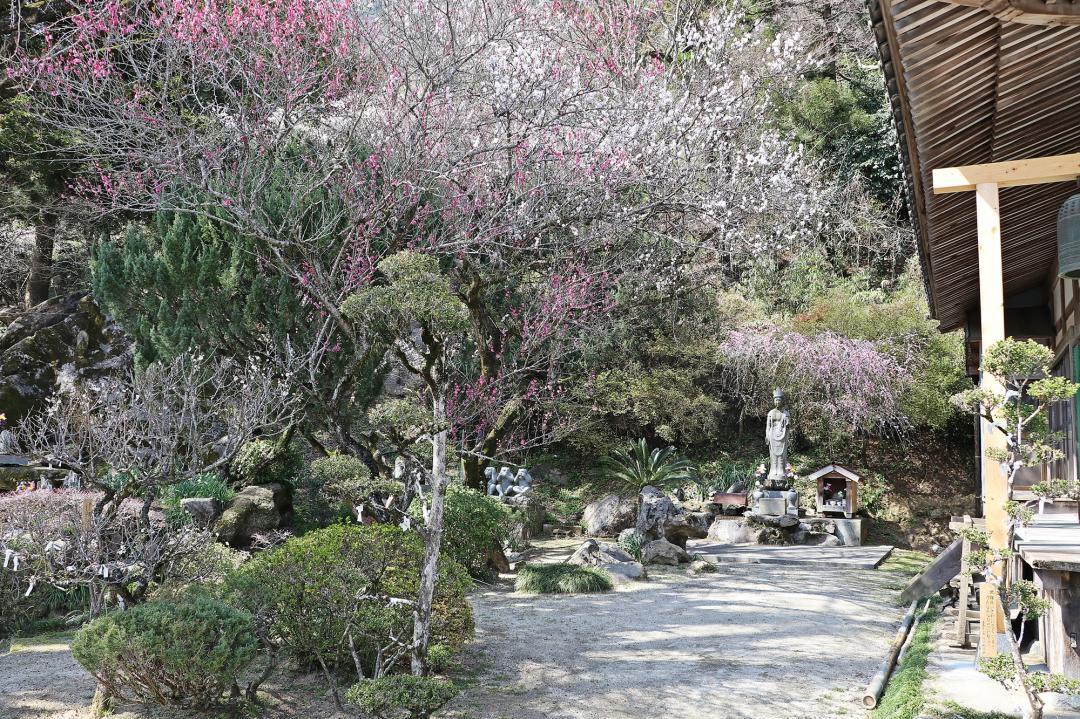 神宮院（田川郡香春町）