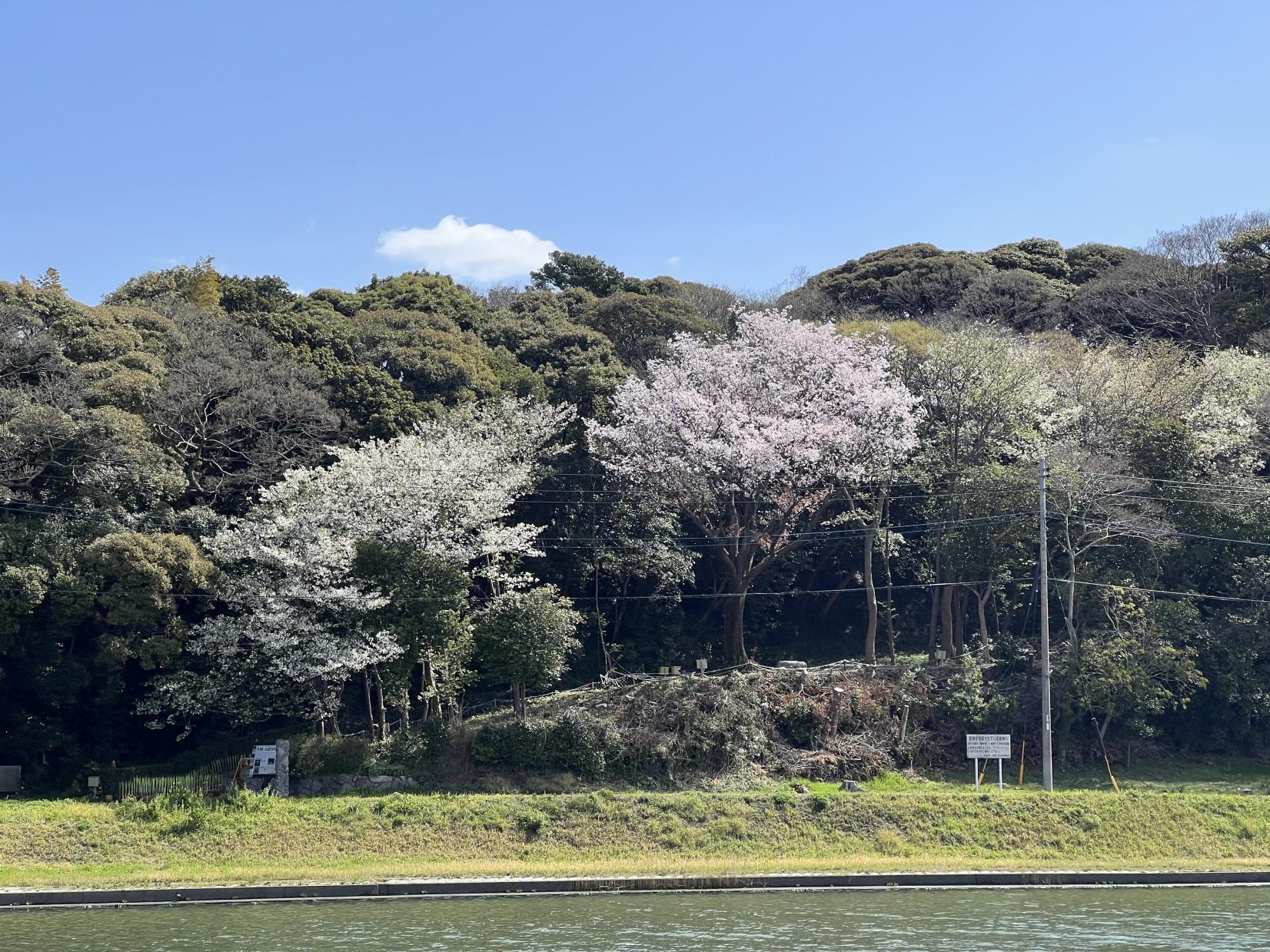 島津・丸山歴史自然公園