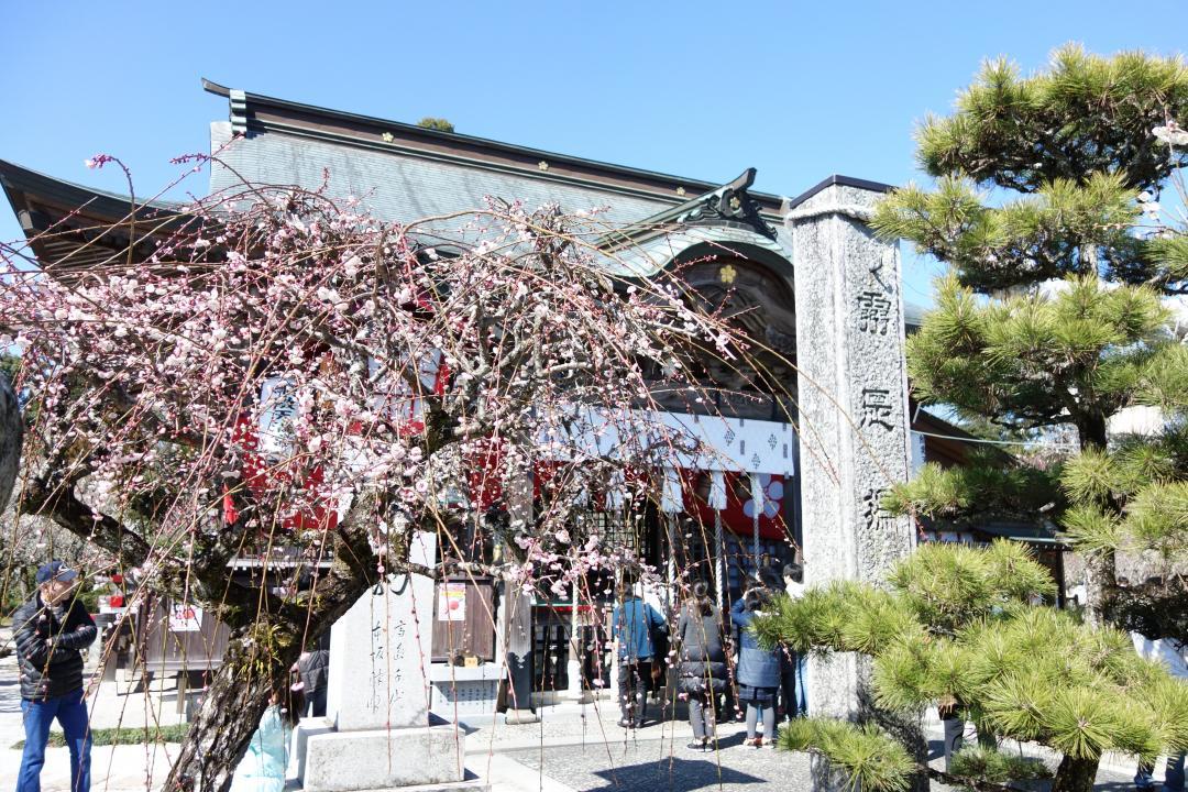 綱敷（つなしき）天満宮（築上郡築上町）