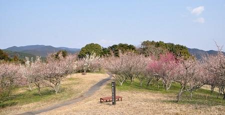 八木山（やきやま）花木園（飯塚市）