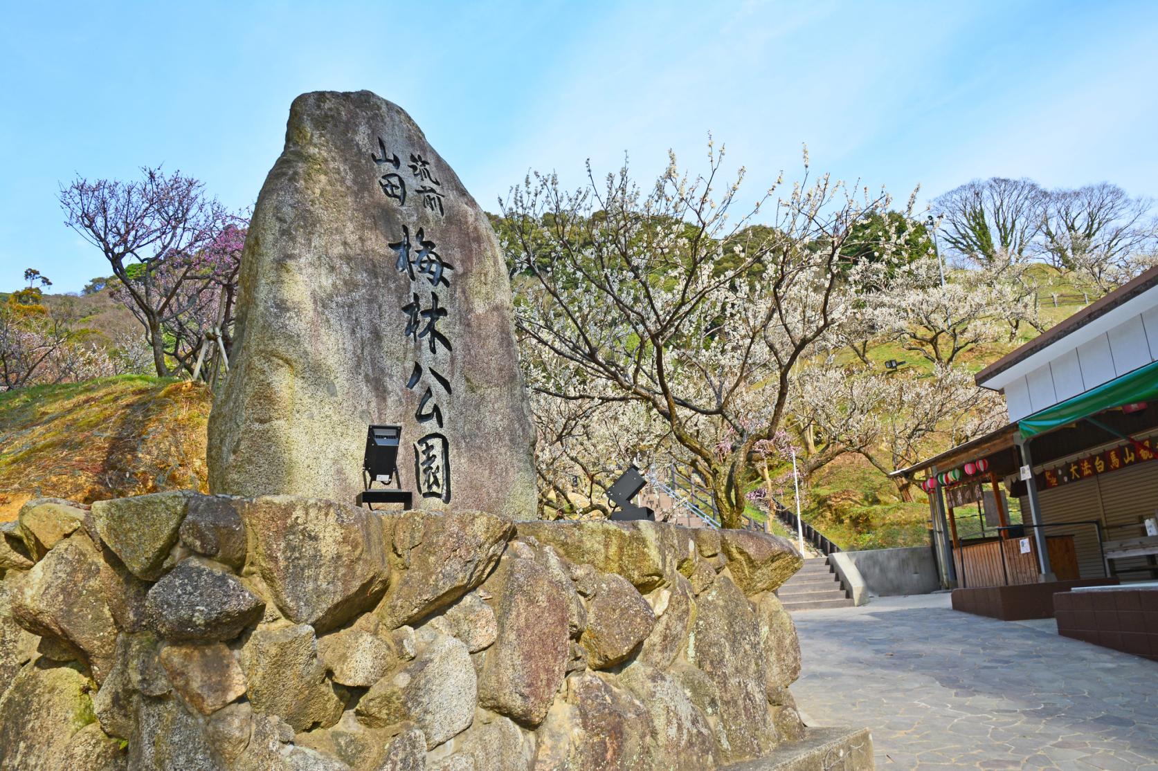 嘉麻市梅林公園（嘉麻市）