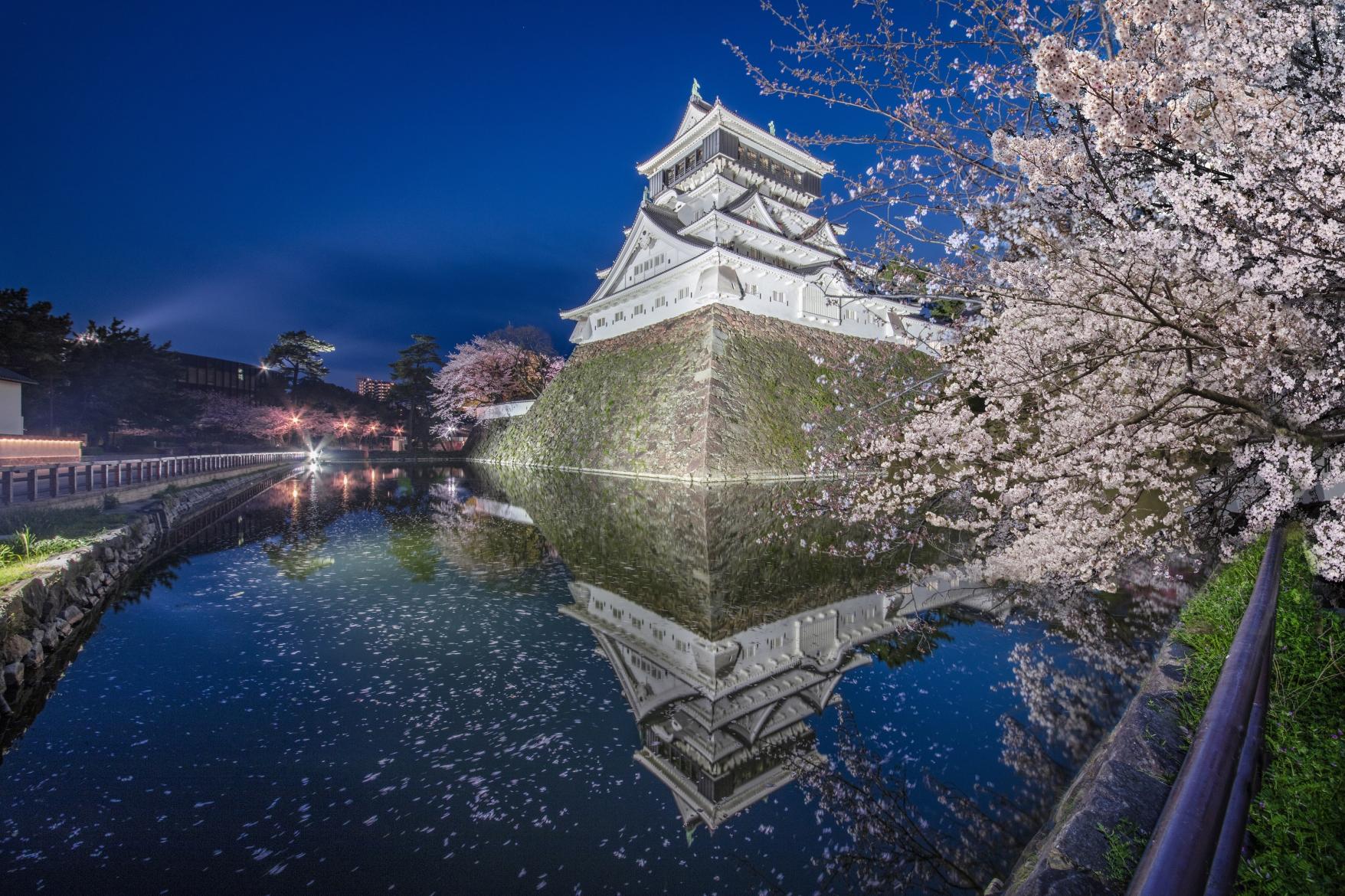 提供：北九州市
