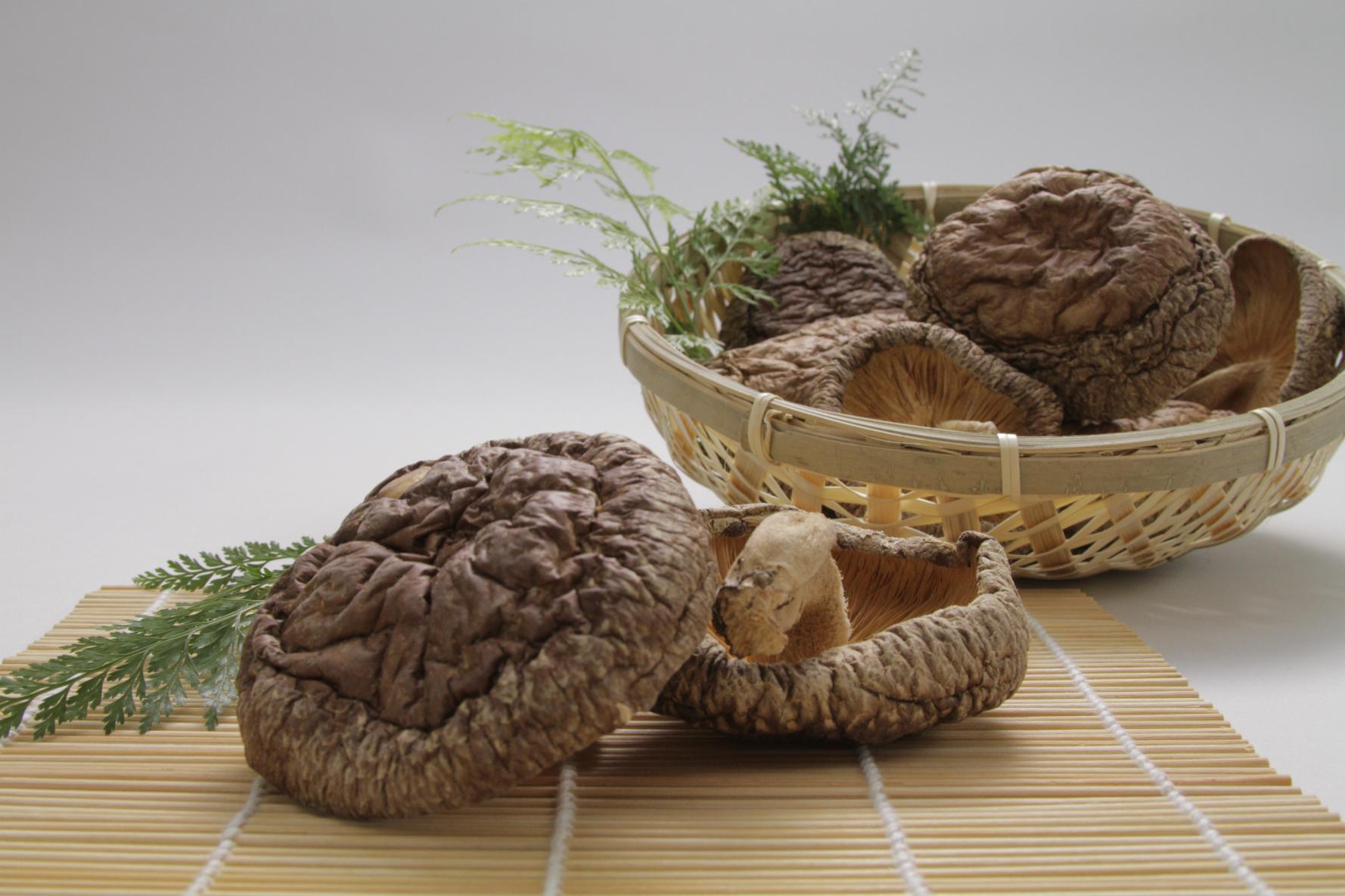 干し椎茸