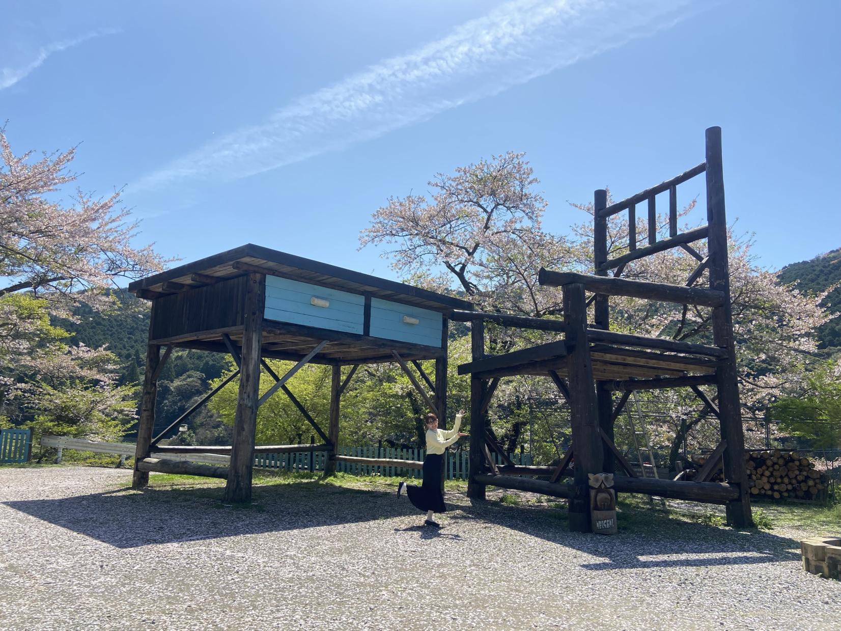 大きな椅子・大きな机