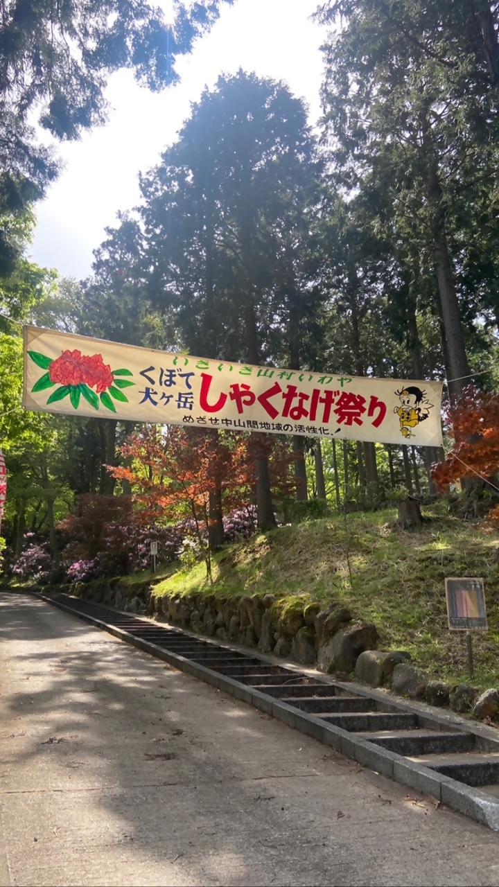 しゃくなげ祭り（例年4月中旬）