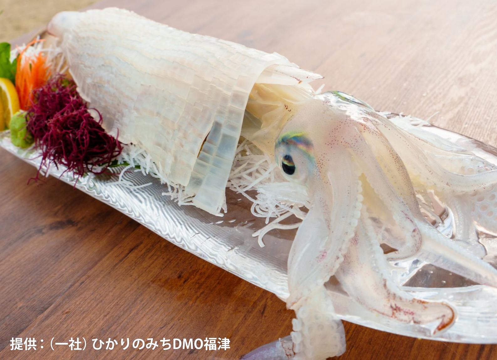 噛むほど甘い！新鮮なイカ