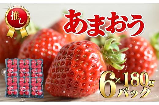 イチゴの王様！あまおう