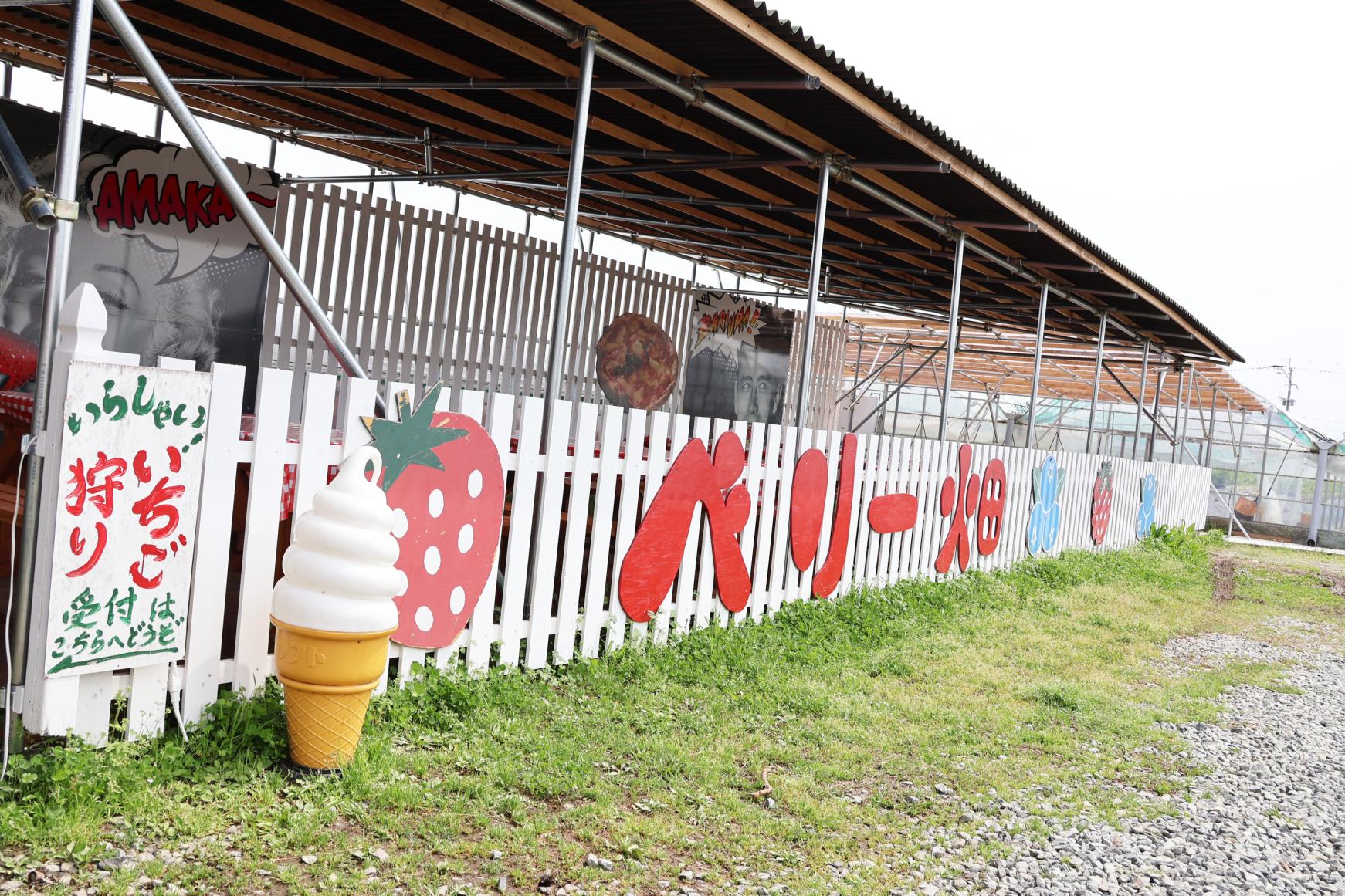 ベリー畑（小郡市）