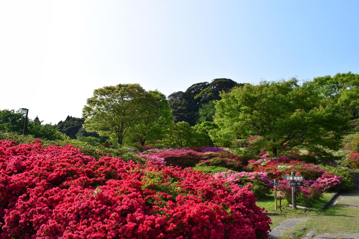 久留米森林つつじ公園