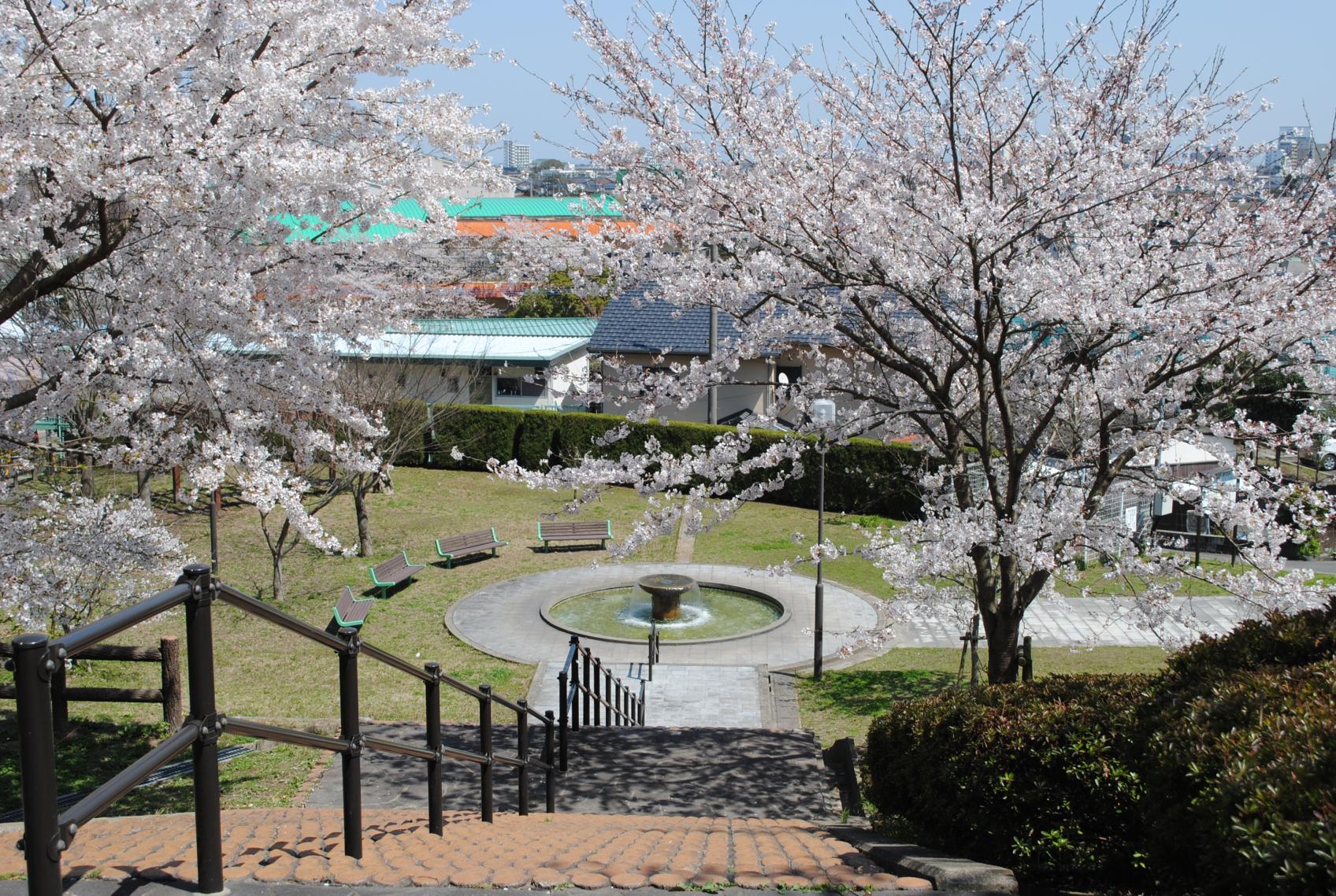 天仲寺山