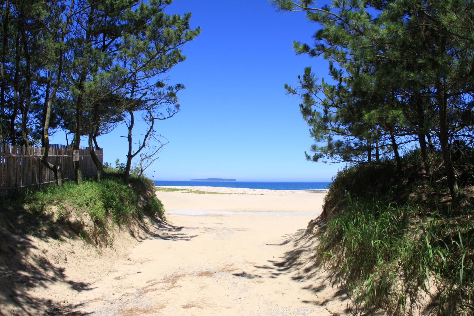 古賀海岸・花見海岸