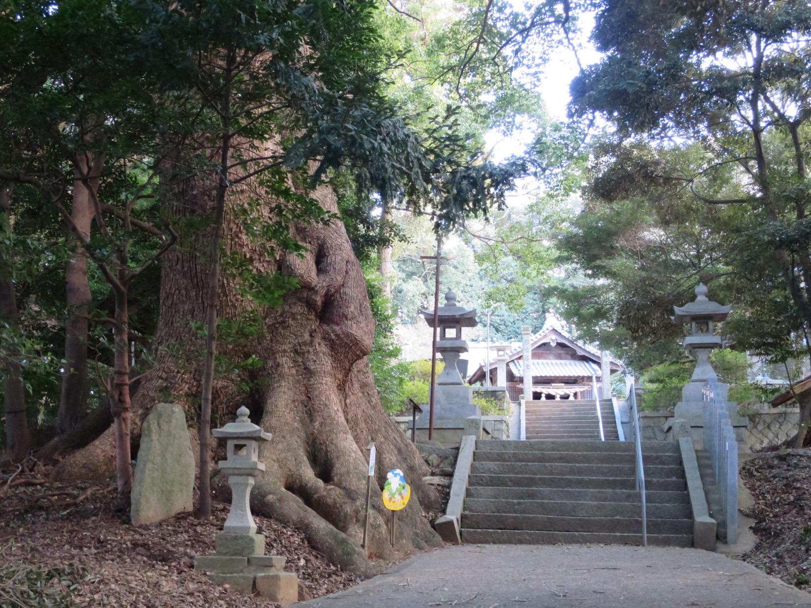 五所八幡宮