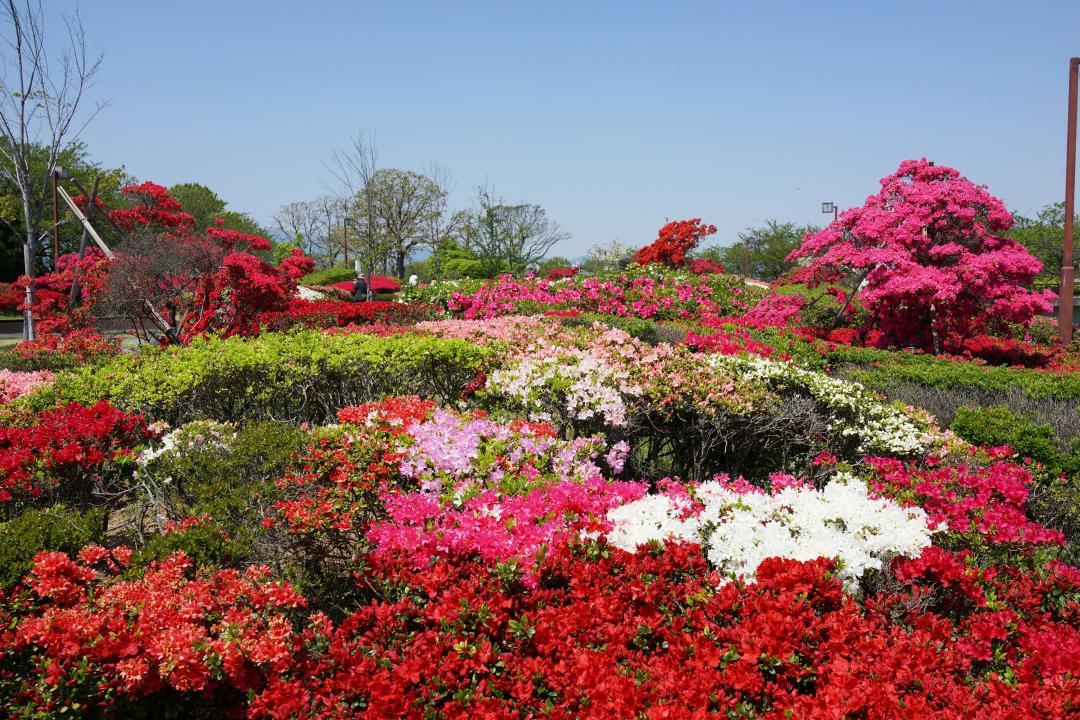 久留米百年公園（久留米市）