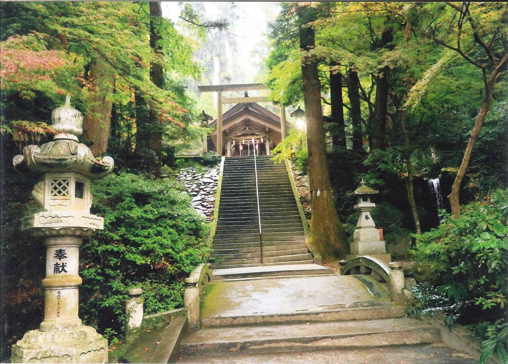 伊野天照皇大神宮（いのてんしょうこうたいじんぐう）