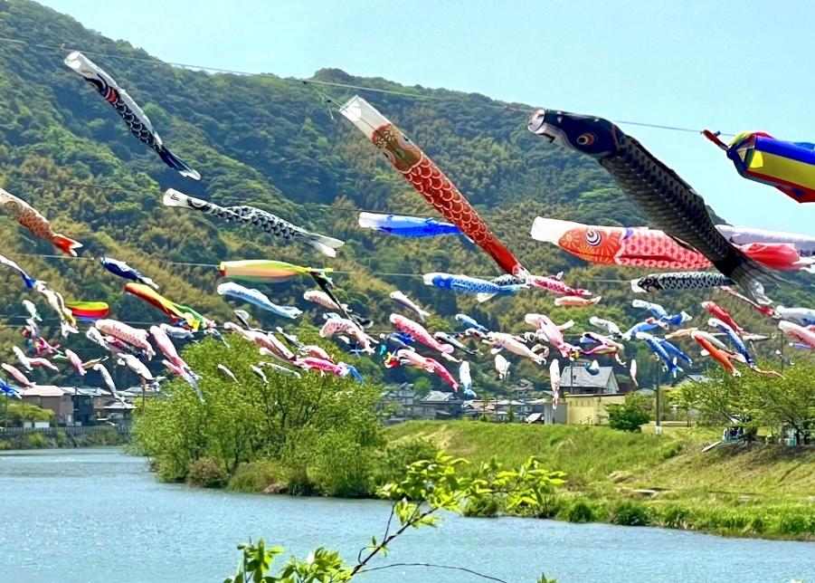 Festival des Koinobori de la rivière Murasaki (Ville de Kitakyushu)