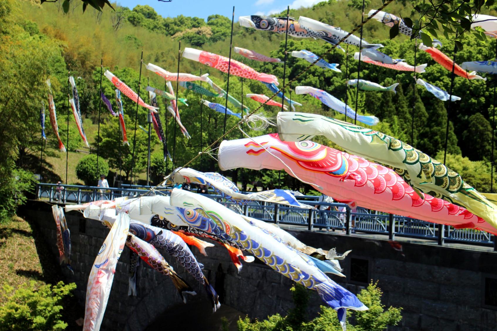 Koi-Koi-Koi (Ville de Miyama)