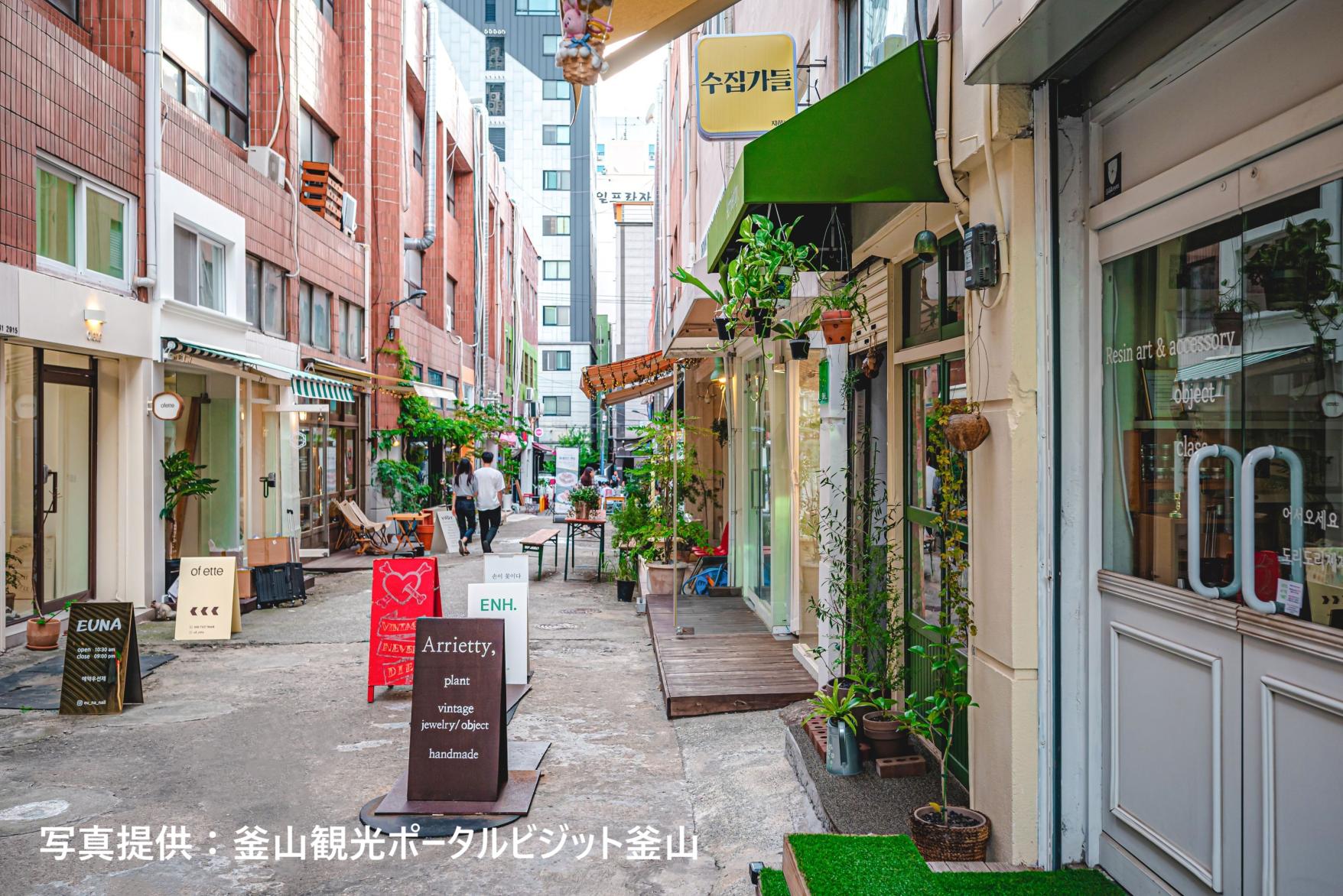 写真提供:釜山観光ポータルビジット釜山