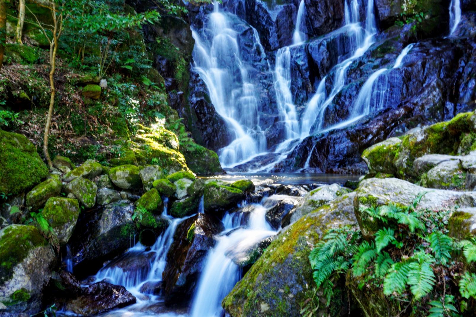 筑後・筑豊地方の名水・湧水