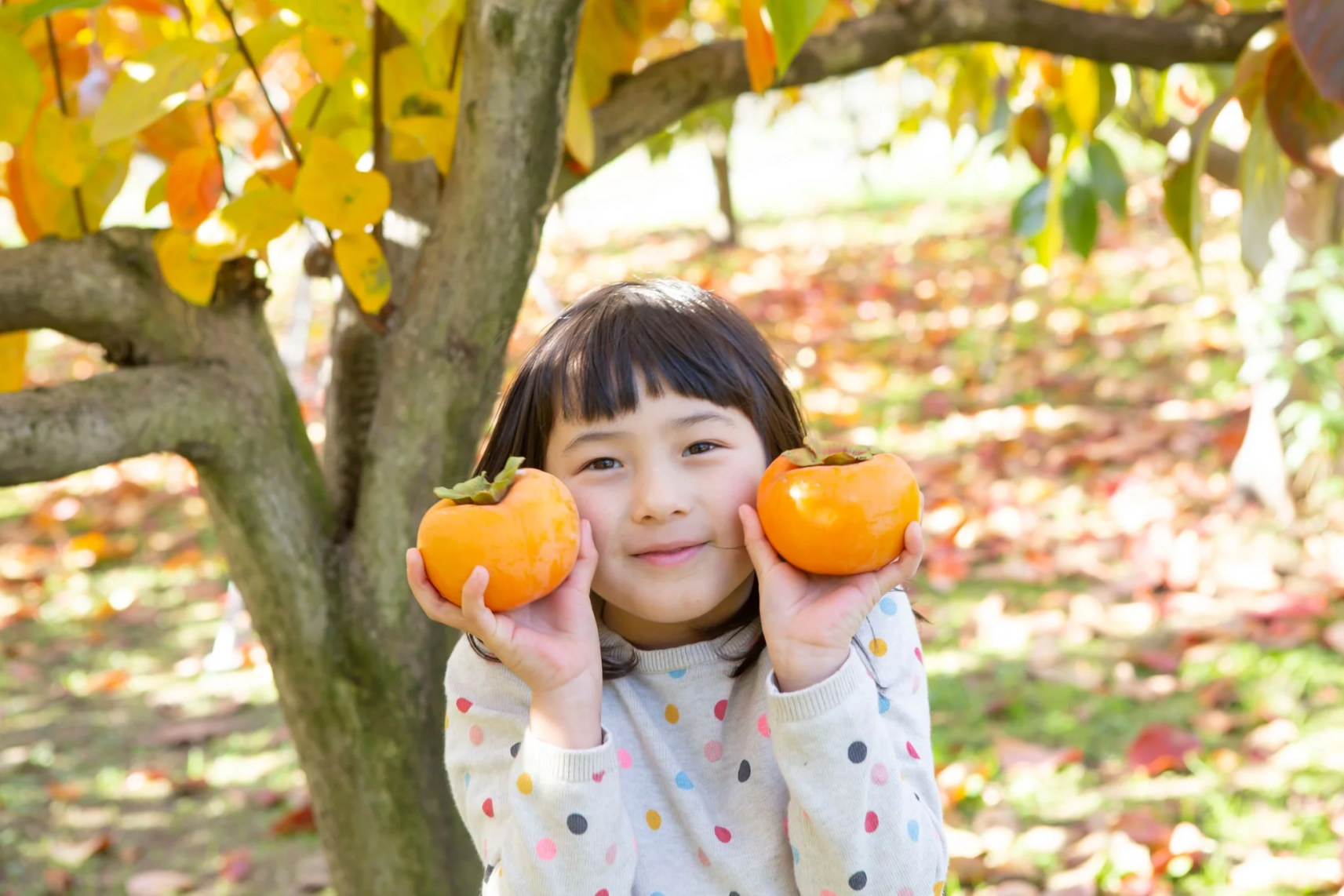 うきは果樹の村やまんどん（うきは市）