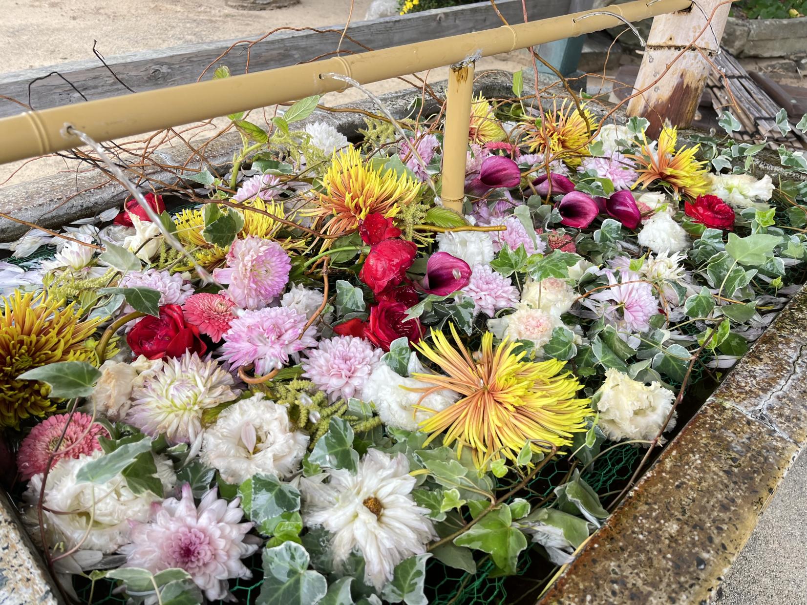 ※写真は過去のものです。