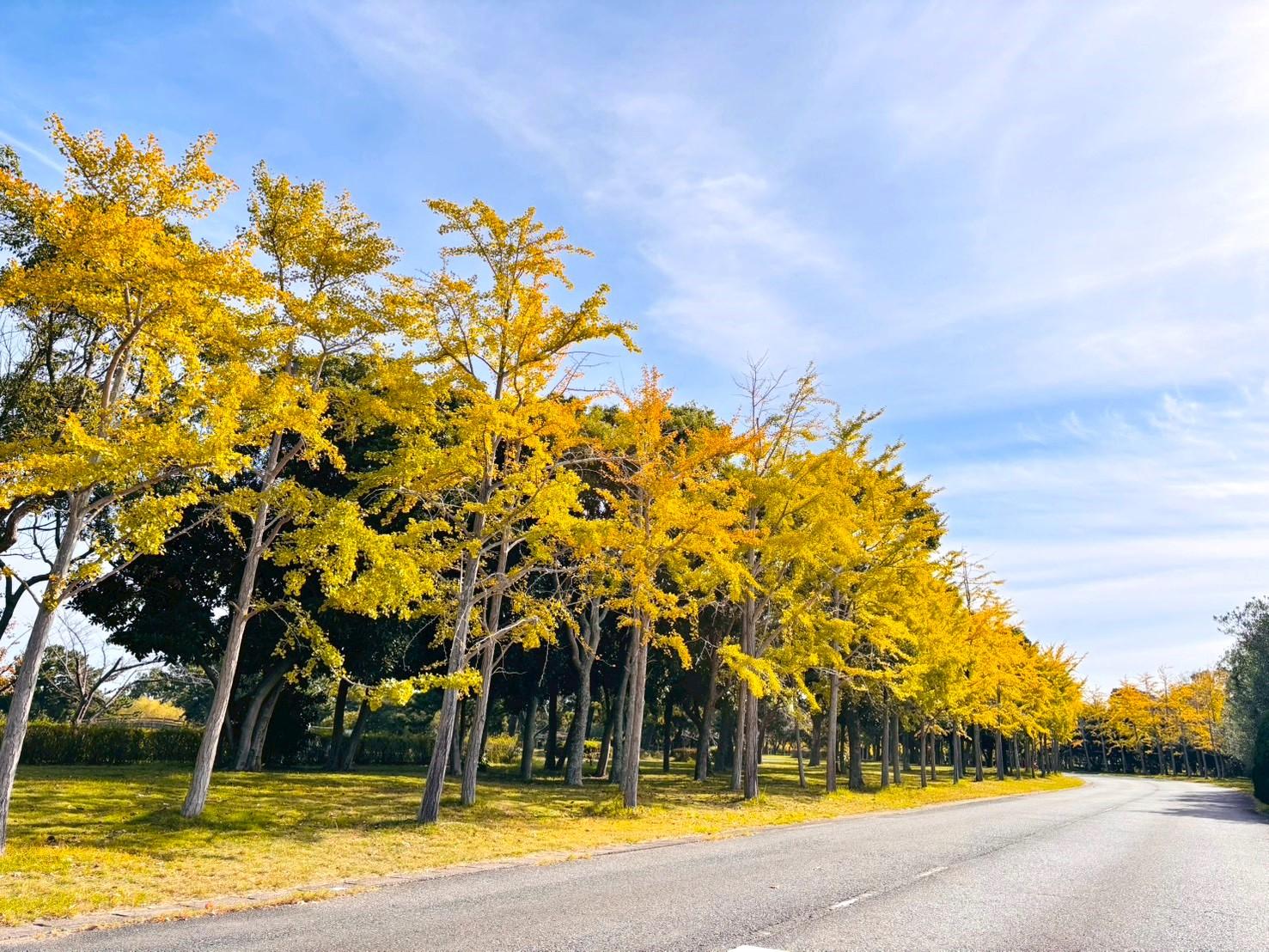 海の中道海浜公園（福岡市）