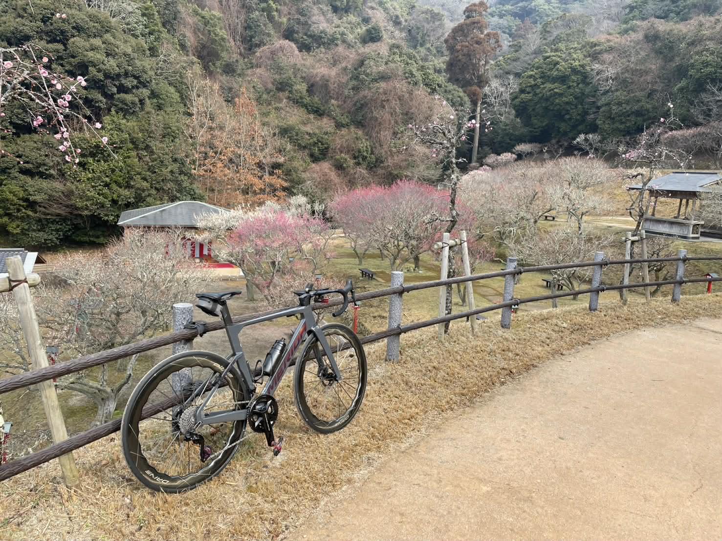 嘉麻市梅林公園（嘉麻市）