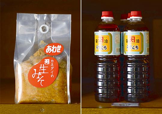 おみその学校カネダイ
