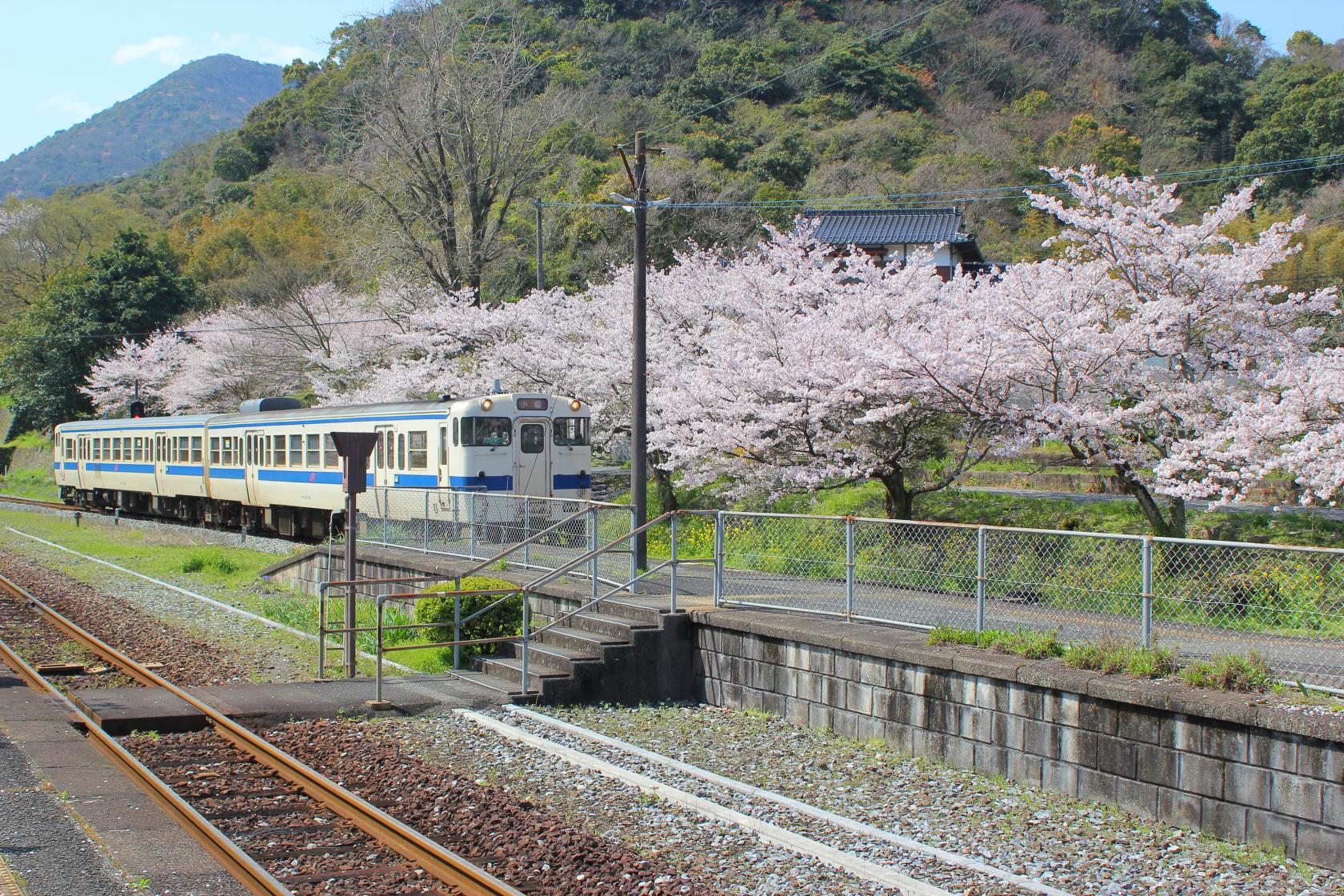 九州Olle「筑豐・香春路線」春日限定健行活動（香春町）