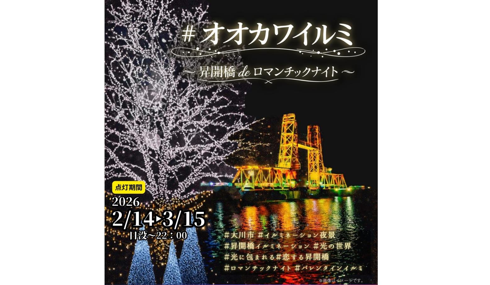 오카와 일루미네이션 ～승개교 로맨틱 나이트～ (오카와시)