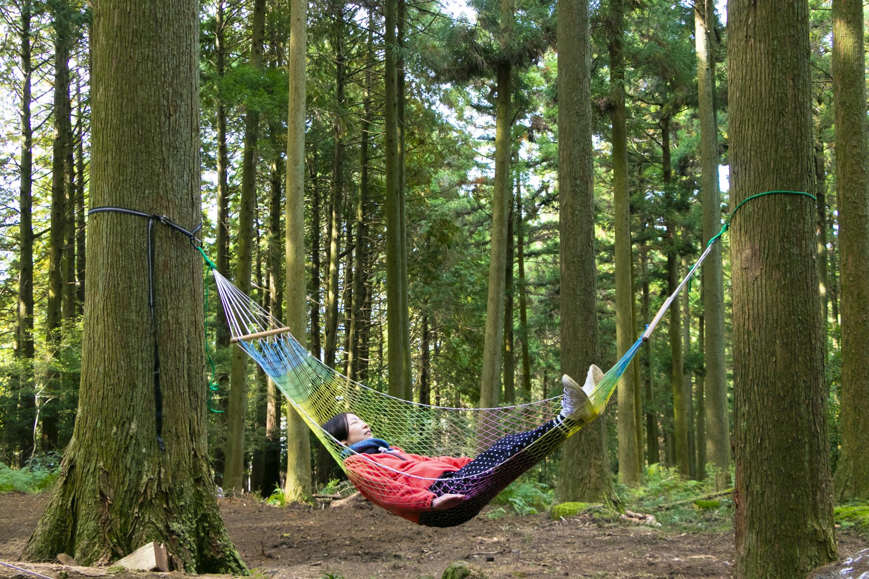가마시 휘게 체험
