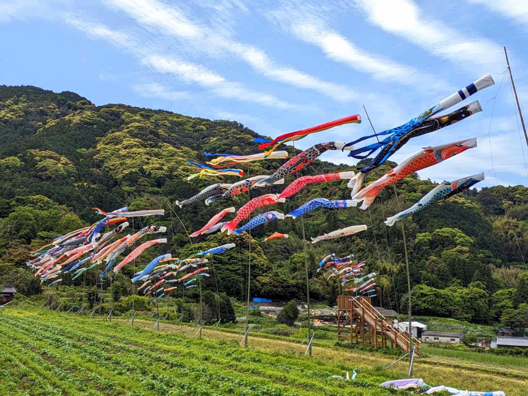 Les Koinobori du centre de vente directe Nijo Akamai (Ville d'Itoshima)