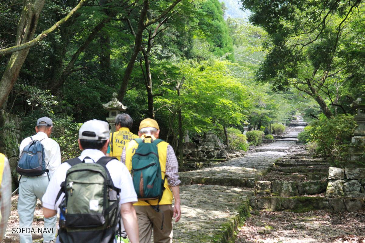 信仰に培われた歴史や自然の美と出会う、英彦山観光の魅力-0