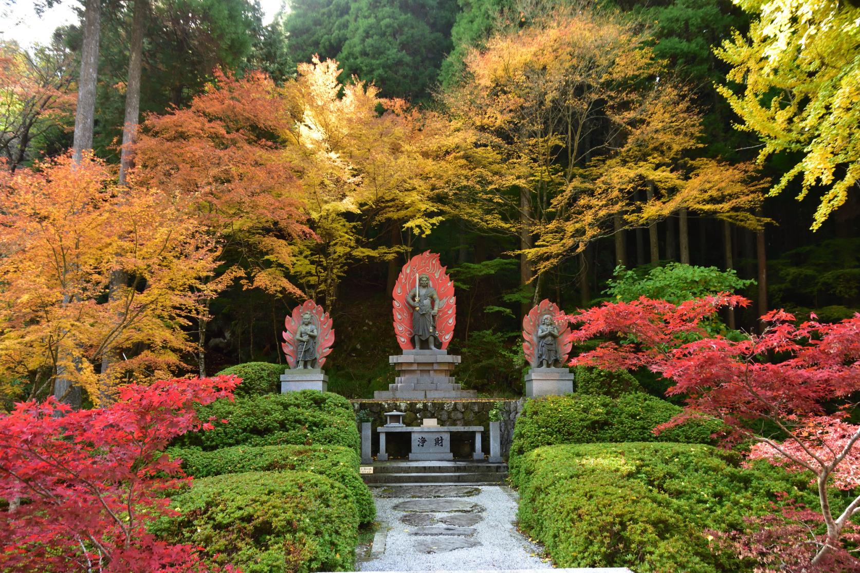 県内屈指の美しさを見せる彦山川の紅葉-2
