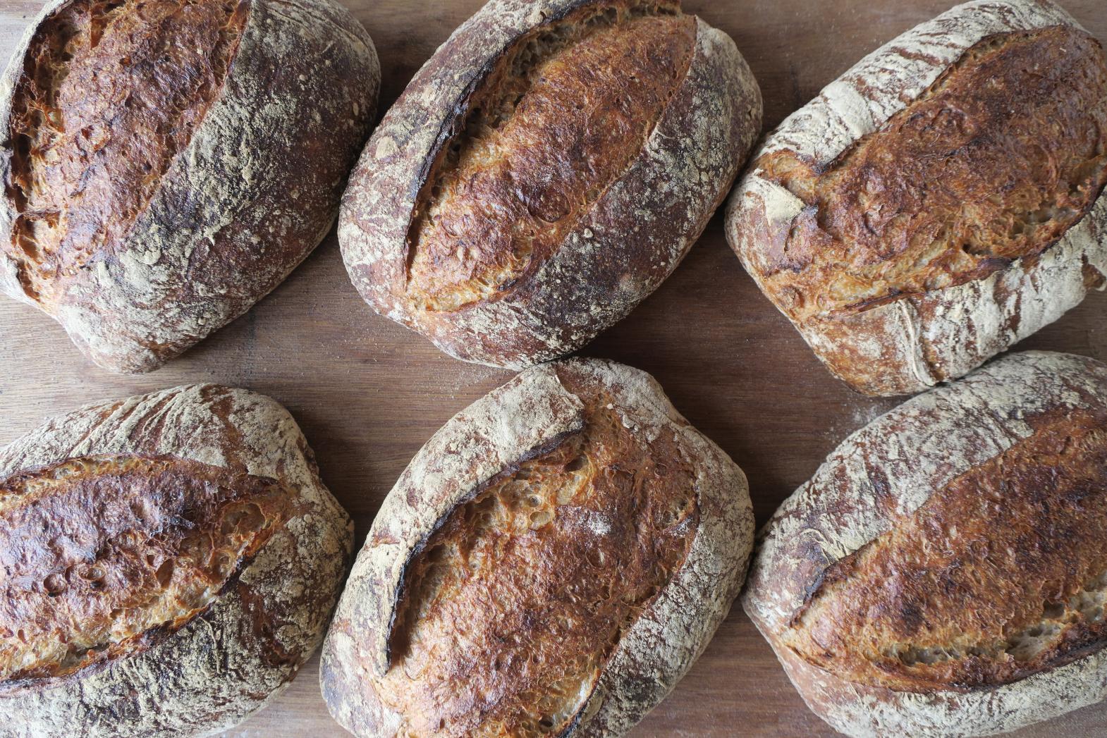 8.マツパン【福岡市】-8