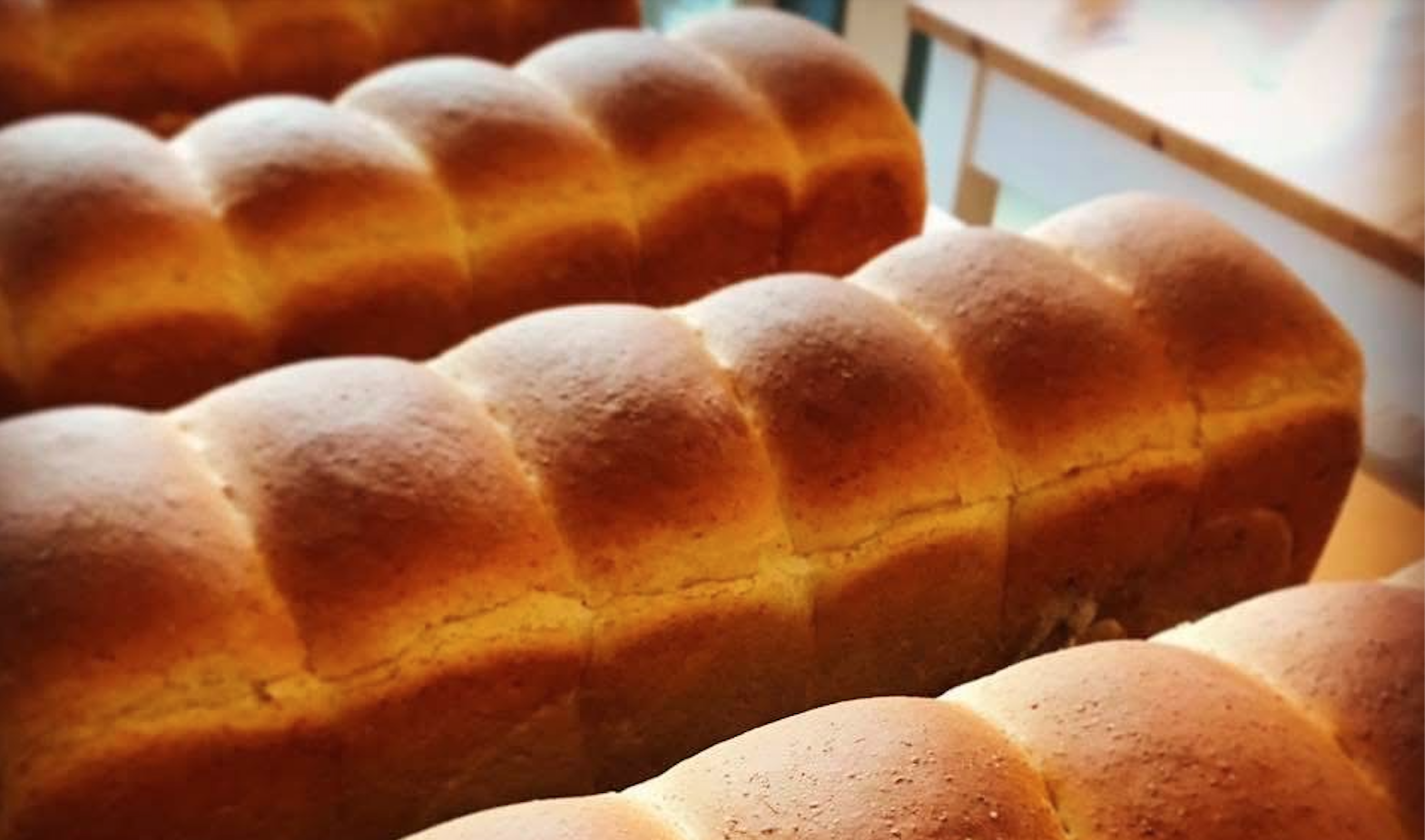 11.としょパン【福智町】-8